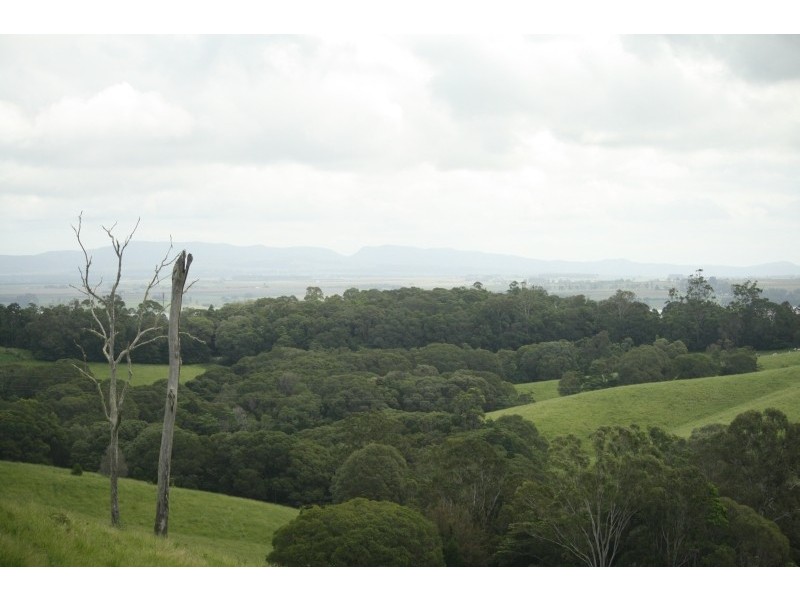 Yungaburra QLD 4884