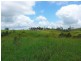 Millaa Millaa QLD 4886
