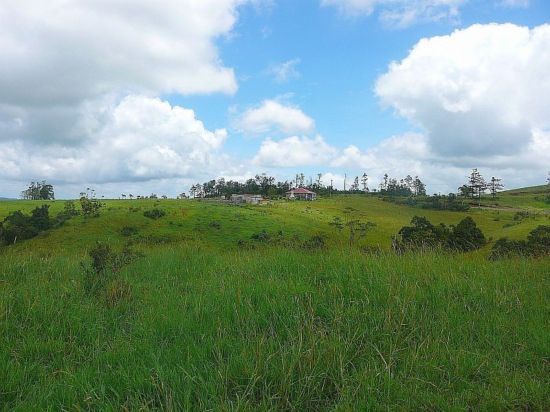 Millaa Millaa QLD 4886