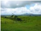 Millaa Millaa QLD 4886