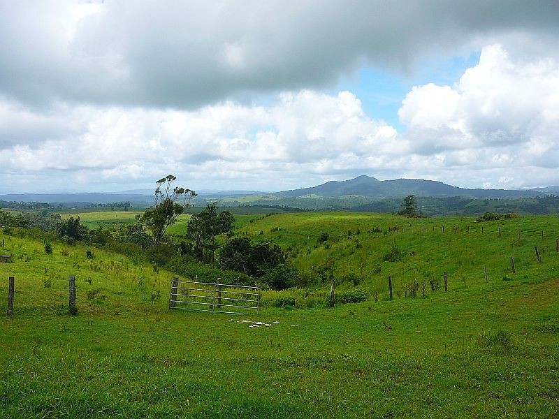 Millaa Millaa QLD 4886