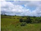 Millaa Millaa QLD 4886