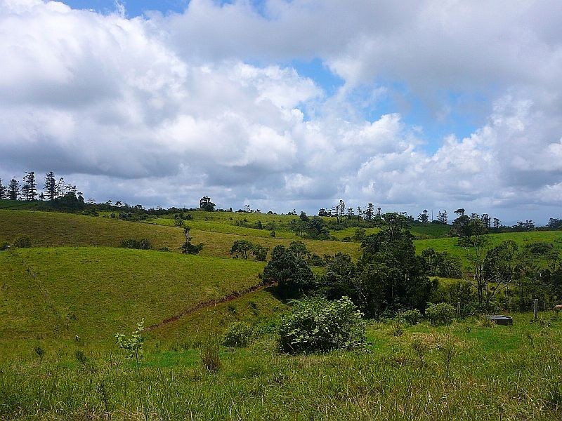 Millaa Millaa QLD 4886