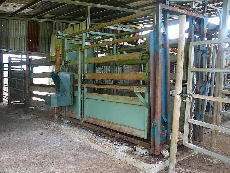 Millaa Millaa QLD 4886