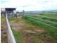 Millaa Millaa QLD 4886