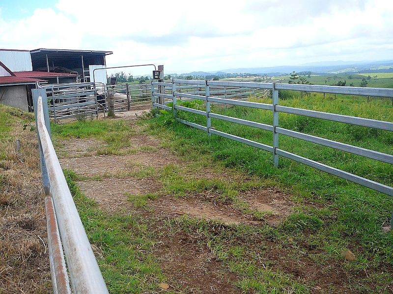 Millaa Millaa QLD 4886