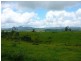 Millaa Millaa QLD 4886