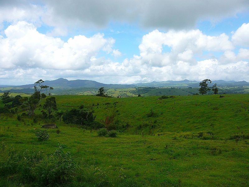 Millaa Millaa QLD 4886