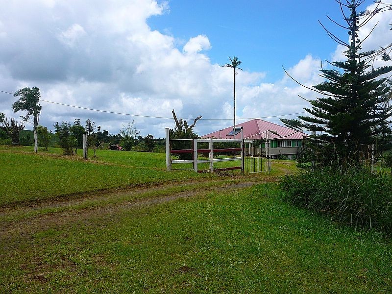 Millaa Millaa QLD 4886