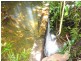 Millaa Millaa QLD 4886