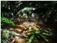 Millaa Millaa QLD 4886