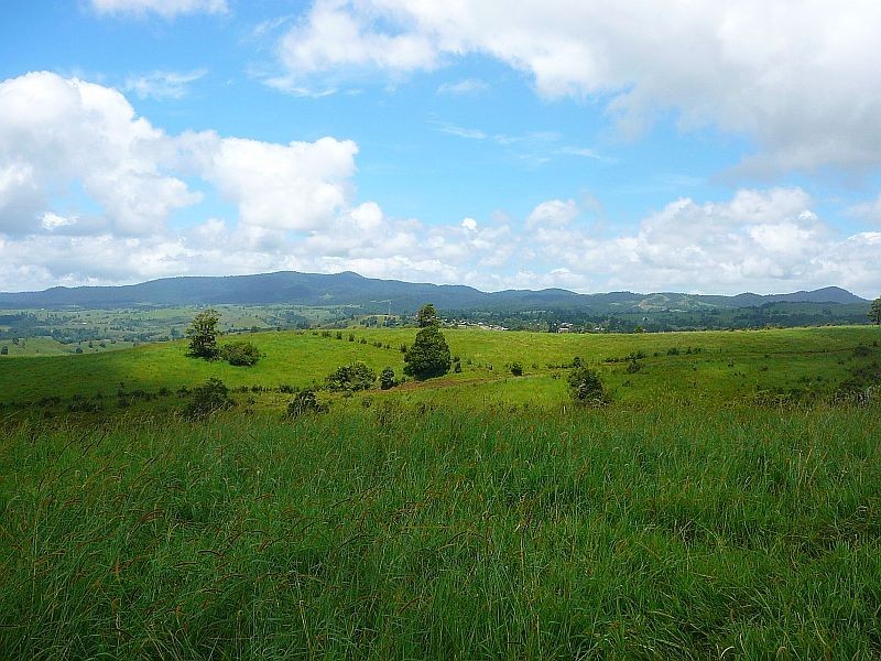Millaa Millaa QLD 4886