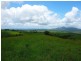 Millaa Millaa QLD 4886