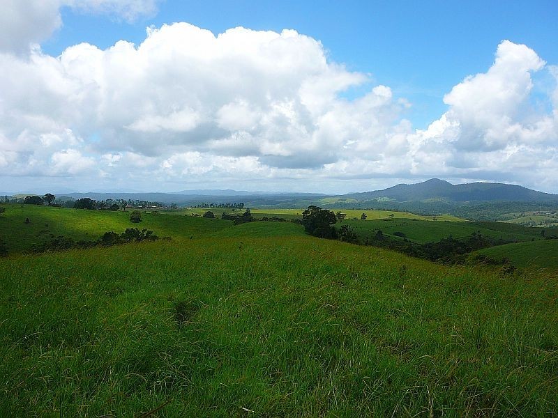 Millaa Millaa QLD 4886