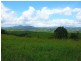 Millaa Millaa QLD 4886