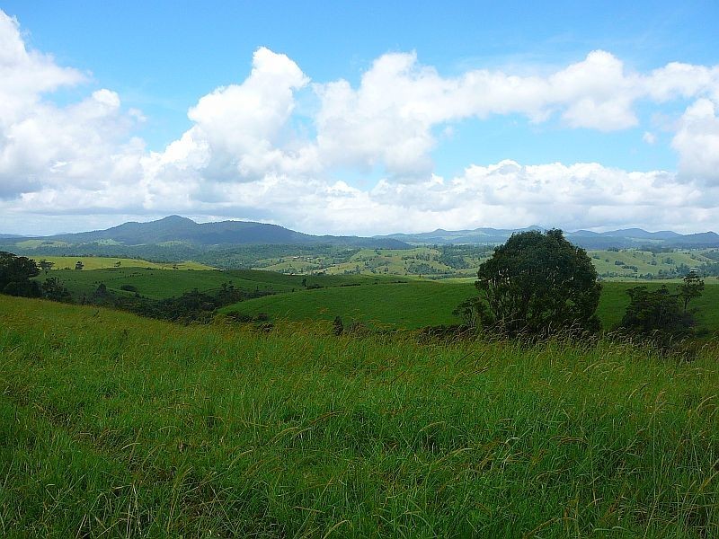Millaa Millaa QLD 4886