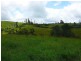 Millaa Millaa QLD 4886