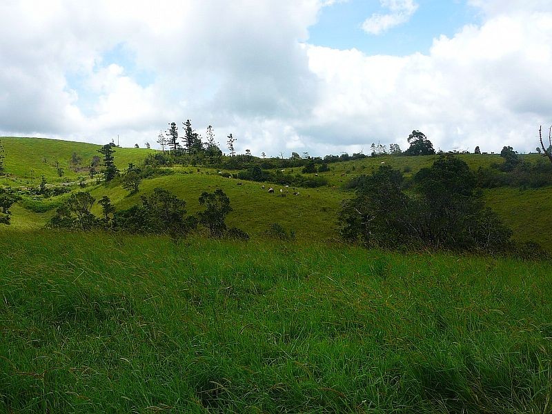 Millaa Millaa QLD 4886