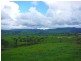 Millaa Millaa QLD 4886