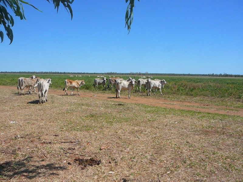 01 Kelly Road, Georgetown QLD 4871