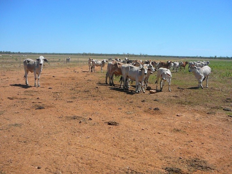 01 Kelly Road, Georgetown QLD 4871