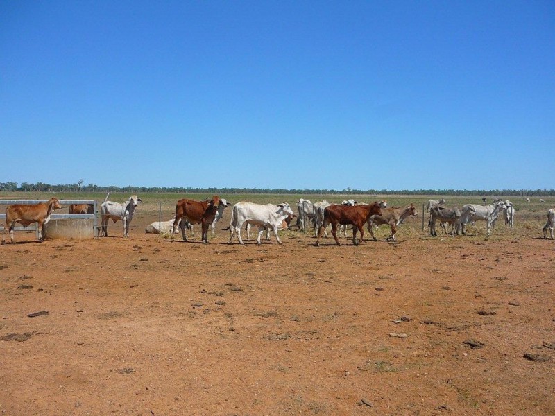 01 Kelly Road, Georgetown QLD 4871