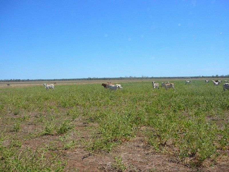 1 Kelly Road, Georgetown QLD 4871