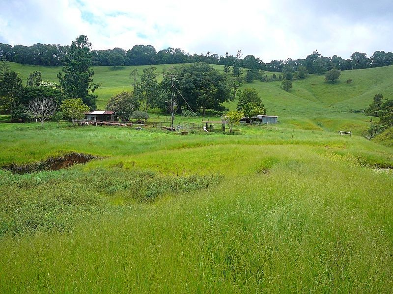 Malanda QLD 4885