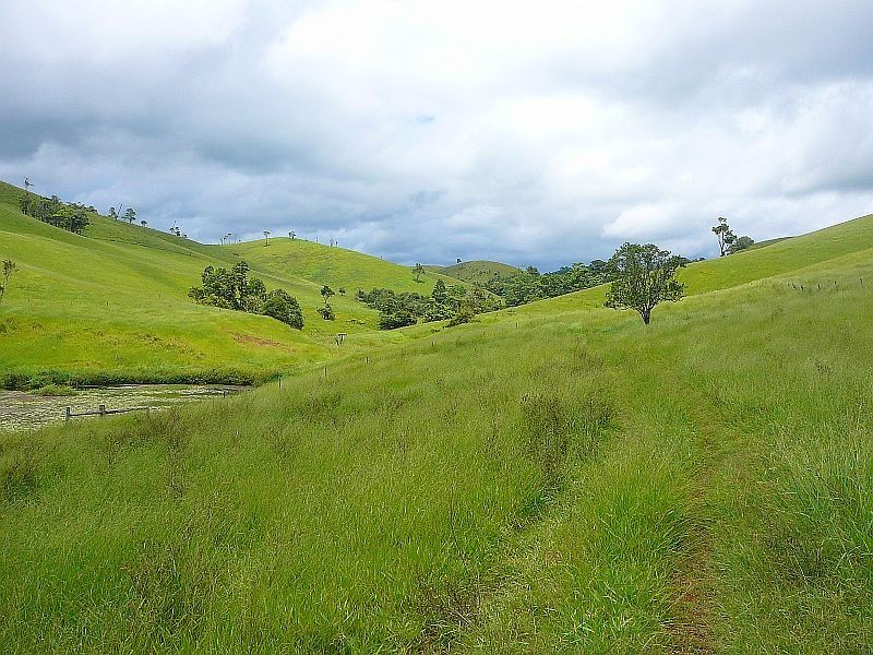 Malanda QLD 4885