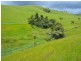 Malanda QLD 4885