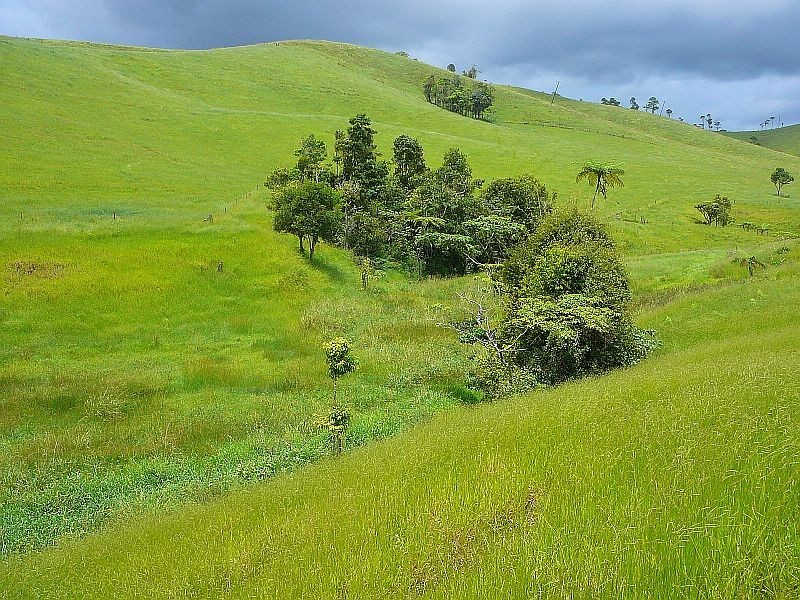 Malanda QLD 4885