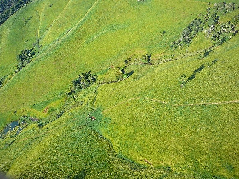 Malanda QLD 4885