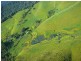 Malanda QLD 4885
