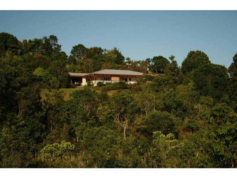 Yungaburra QLD 4884