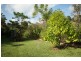 Tarzali QLD 4885
