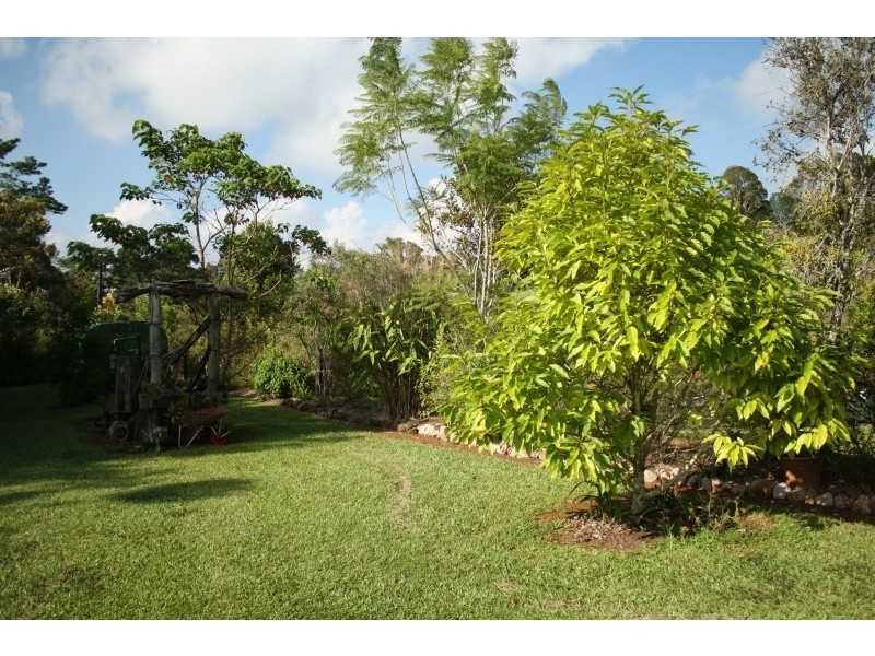 Tarzali QLD 4885
