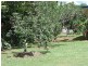 57 Eacham Rd, Yungaburra QLD 4884