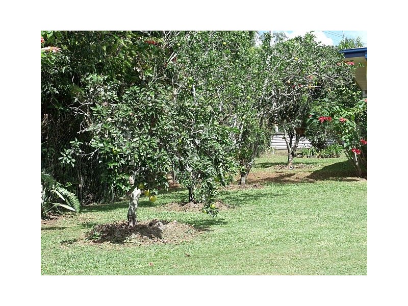 57 Eacham Rd, Yungaburra QLD 4884