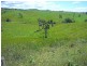 Malanda QLD 4885