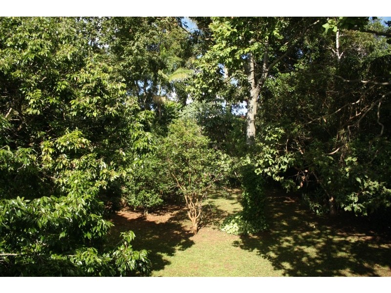 Yungaburra QLD 4884