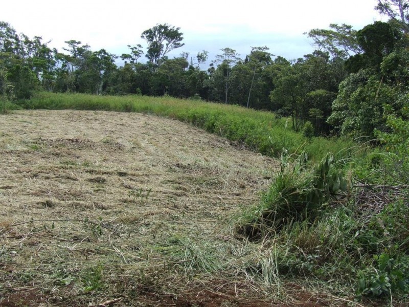Malanda QLD 4885