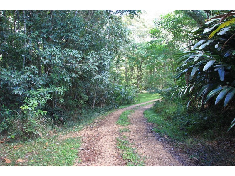 Lake Eacham QLD 4884