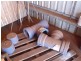 68 Willows Rd, Tolga QLD 4882