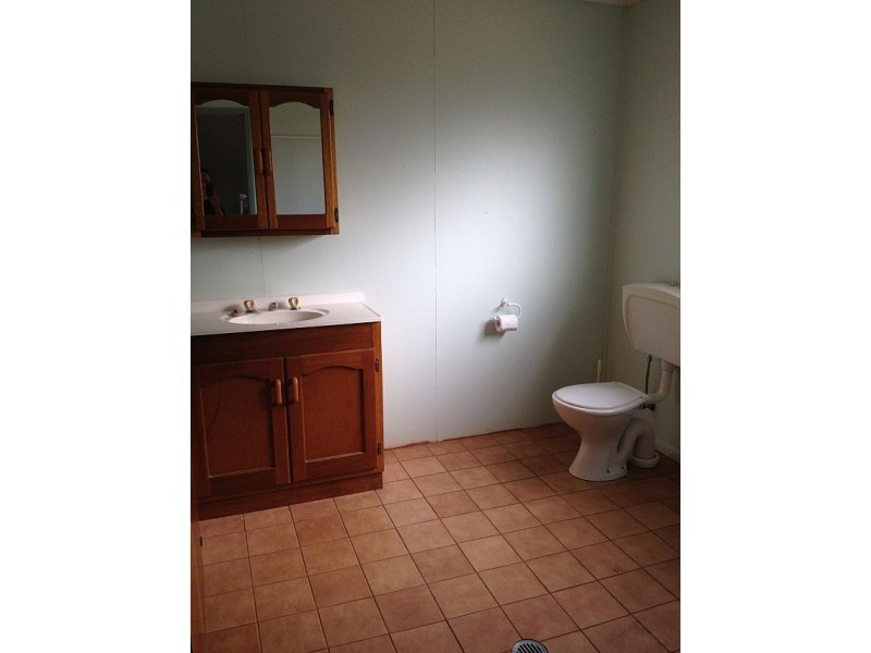 Millaa Millaa QLD 4886