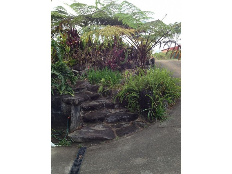 Millaa Millaa QLD 4886