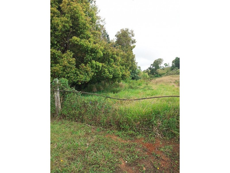 3 MILLAA- MALANDA RD, Tarzali QLD 4885