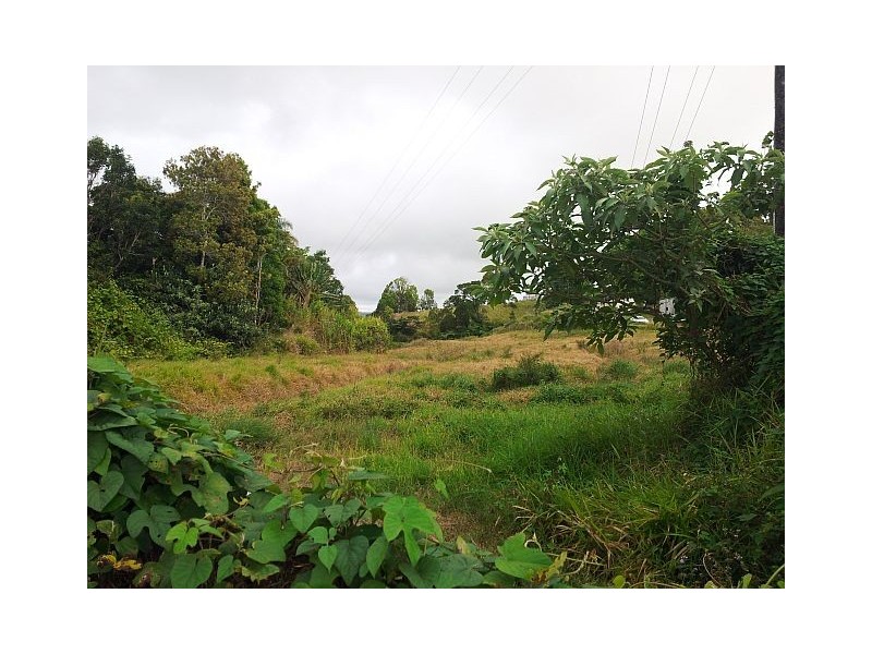 3 MILLAA- MALANDA RD, Tarzali QLD 4885