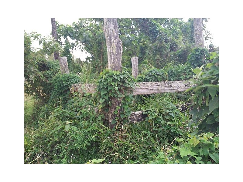 3 MILLAA- MALANDA RD, Tarzali QLD 4885