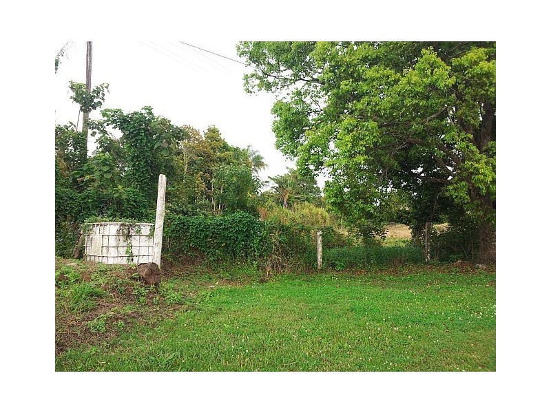 3 MILLAA- MALANDA RD, Tarzali QLD 4885