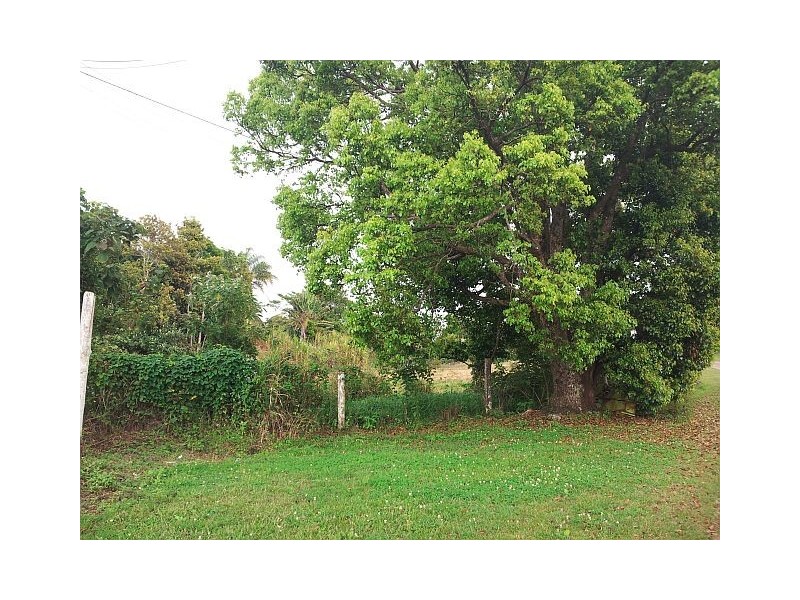 3 MILLAA- MALANDA RD, Tarzali QLD 4885